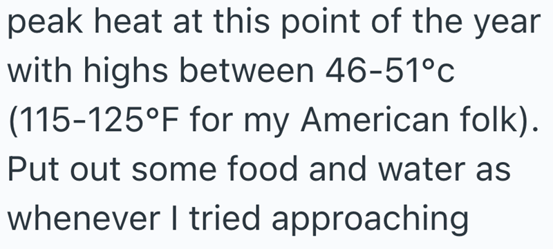 peak heat at this point of the year with highs between 46-51°c (115-125°F for my American folk). Put out some food and water as whenever I tried approaching