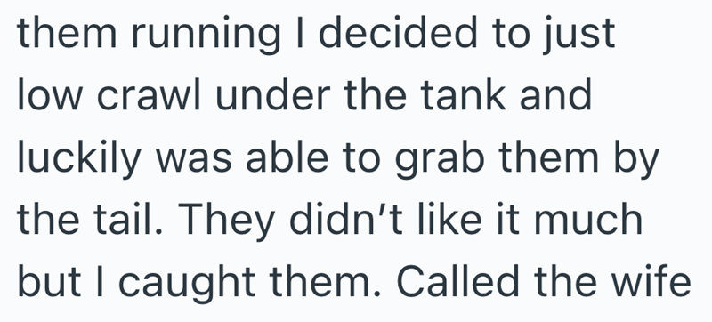 them running I decided to just low crawl under the tank and luckily was able to grab them by the tail. They didn't like it much but I caught them. Called the wife