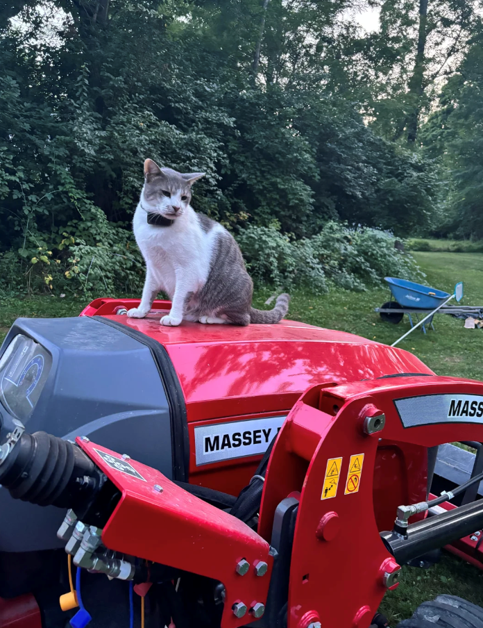 MASSEY A MASS