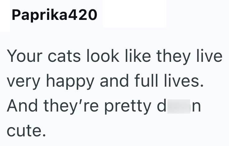 Paprika 420 Your cats look like they live very happy and full lives. And they're pretty d n cute.