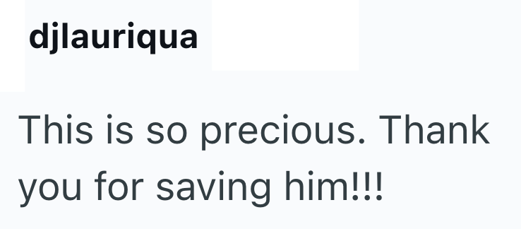 djlauriqua This is so precious. Thank you for saving him!!!!