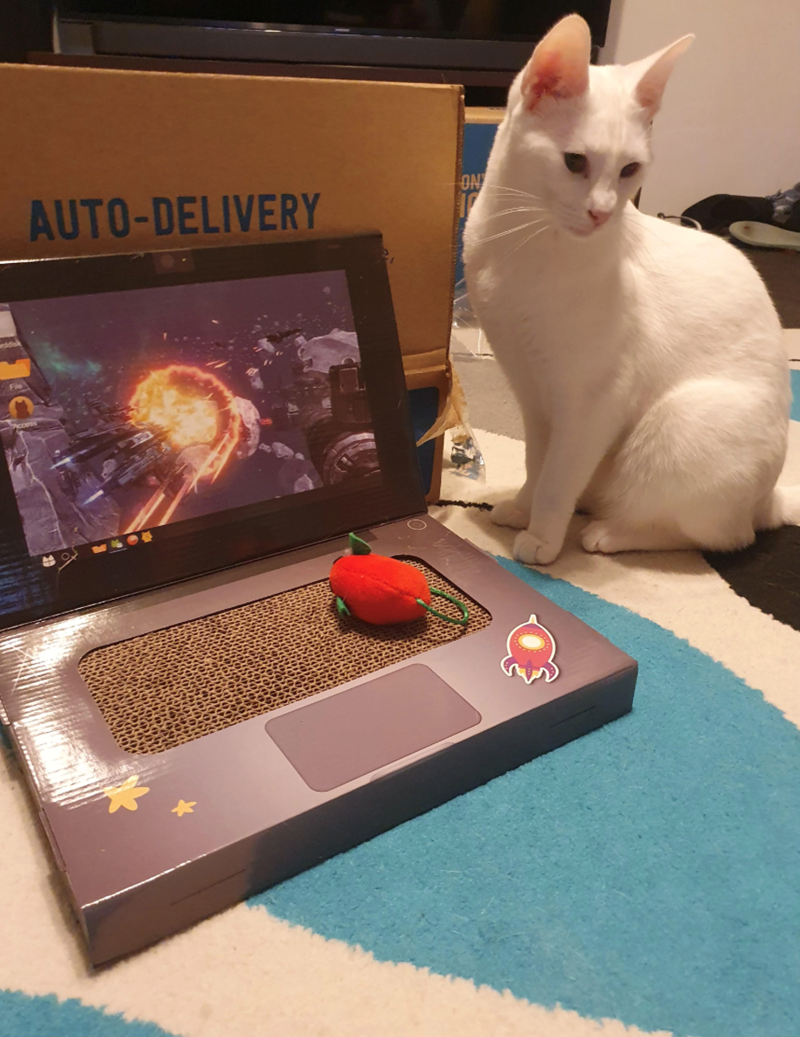 Fi AUTO-DELIVERY ON