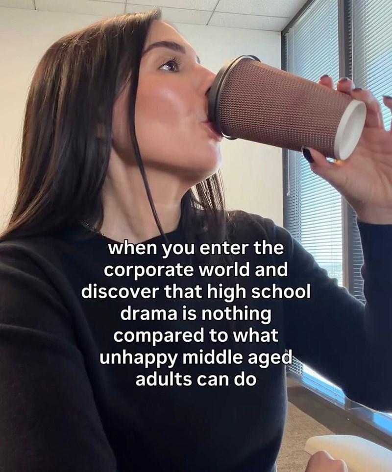 when you enter the corporate world and discover that high school drama is nothing compared to what unhappy middle aged adults can do