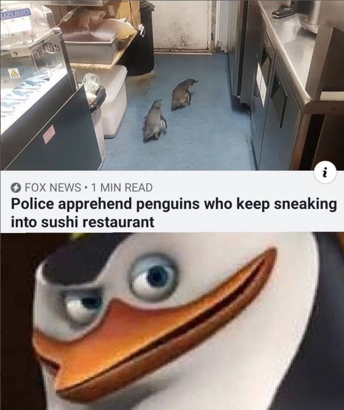 UZUMO i O FOX NEWS 1 MIN READ Police apprehend penguins who keep sneaking into sushi restaurant