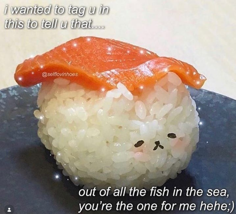 i wanted to tag u in this to tell u that.... @selflovinhoes out of all the fish in the sea, you're the one for me hehe;)