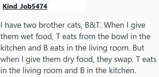 Kind Job5474 I have two brother cats, B&T. When I give them wet food, T eats from the bowl in the kitchen and B eats in the living room. But when I give them dry food, they swap. T eats in the living room and B in the kitchen.