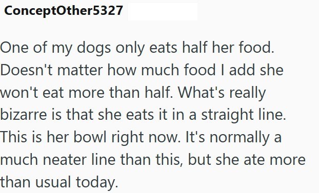 ConceptOther5327 One of my dogs only eats half her food. Doesn't matter how much food I add she won't eat more than half. What's really bizarre is that she eats it in a straight line. This is her bowl right now. It's normally a much neater line than this, but she ate more than usual today.