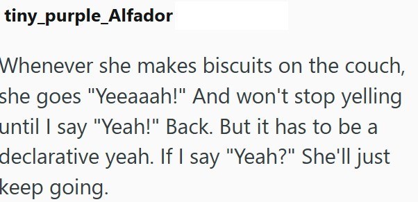 tiny_purple_Alfador Whenever she makes biscuits on the couch, she goes "Yeeaaah!" And won't stop yelling until I say "Yeah!" Back. But it has to be a declarative yeah. If I say "Yeah?" She'll just keep going.