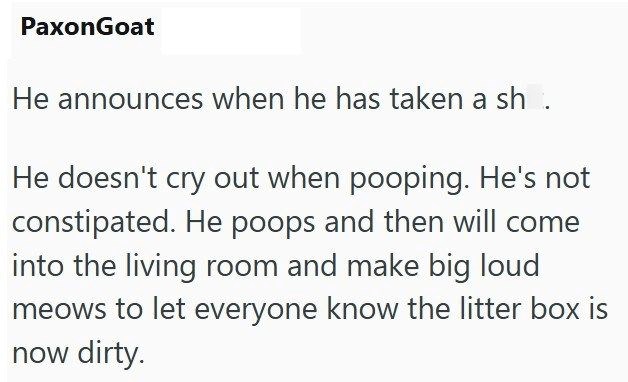 PaxonGoat He announces when he has taken a shit. He doesn't cry out when pooping. He's not constipated. He poops and then will come into the living room and make big loud meows to let everyone know the litter box is now dirty.
