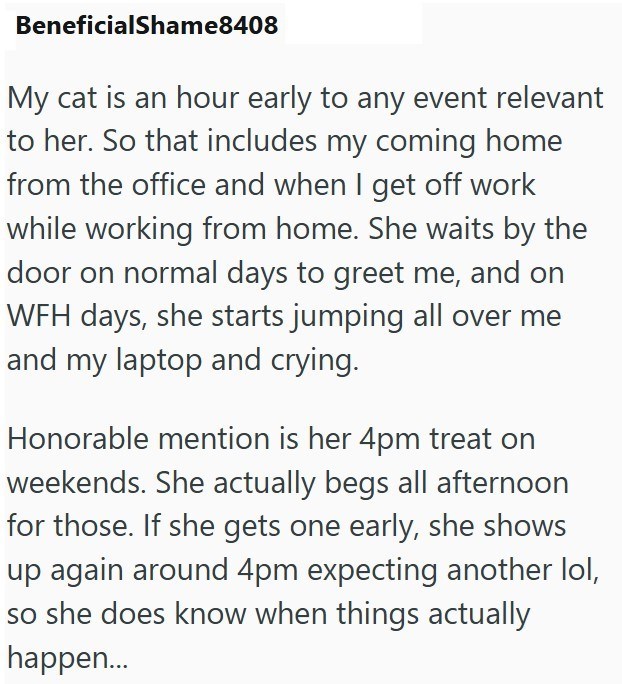 BeneficialShame8408 My cat is an hour early to any event relevant to her. So that includes my coming home from the office and when I get off work while working from home. She waits by the door on normal days to greet me, and on WFH days, she starts jumping all over me and my laptop and crying. Honorable mention is her 4pm treat on weekends. She actually begs all afternoon for those. If she gets one early, she shows up again around 4pm expecting another lol, so she does know when things actually