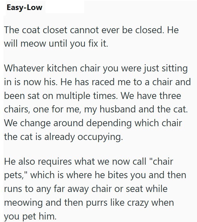 Easy-Low The coat closet cannot ever be closed. He will meow until you fix it. Whatever kitchen chair you were just sitting in is now his. He has raced me to a chair and been sat on multiple times. We have three chairs, one for me, my husband and the cat. We change around depending which chair the cat is already occupying. He also requires what we now call "chair pets," which is where he bites you and then runs to any far away chair or seat while meowing and then purrs like crazy when you pet hi