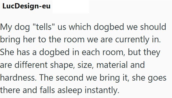 LucDesign-eu My dog "tells" us which dogbed we should bring her to the room we are currently in. She has a dogbed in each room, but they are different shape, size, material and hardness. The second we bring it, she goes there and falls asleep instantly.