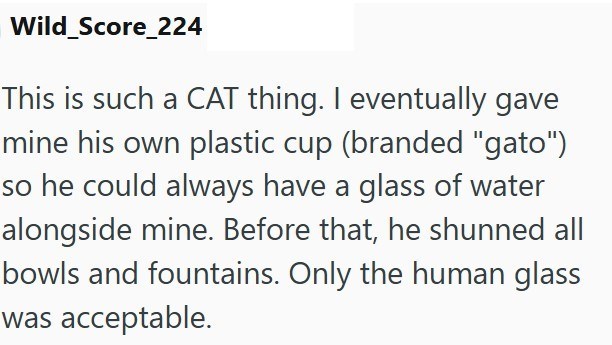 Wild_Score_224 This is such a CAT thing. I eventually gave mine his own plastic cup (branded "gato") so he could always have a glass of water alongside mine. Before that, he shunned all bowls and fountains. Only the human glass was acceptable.