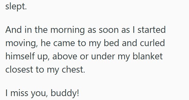 slept. And in the morning as soon as I started moving, he came to my bed and curled himself up, above or under my blanket closest to my chest. I miss you, buddy!
