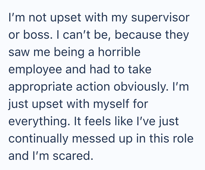 I'm not upset with my supervisor or boss. I can't be, because they saw me being a horrible employee and had to take appropriate action obviously. I'm just upset with myself for everything. It feels like I've just continually messed up in this role and I'm scared.