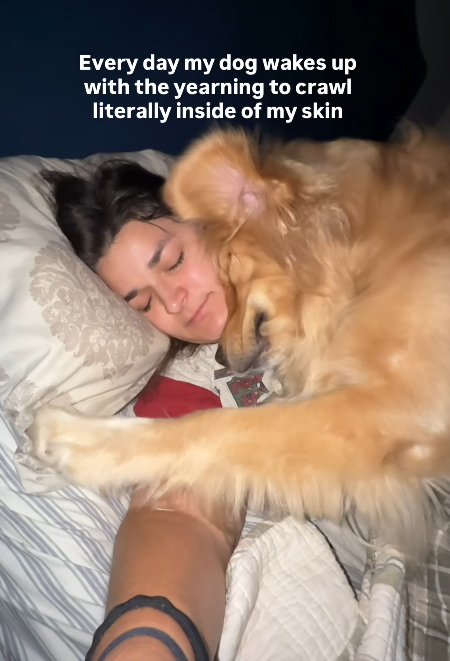 Every day my dog wakes up with the yearning to crawl literally inside of my skin