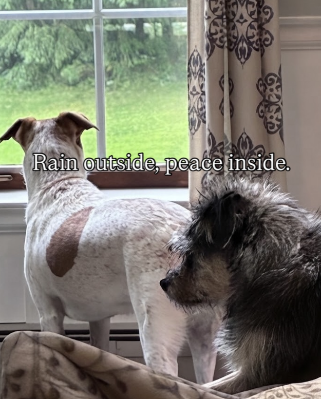 Rain outside, peace inside.