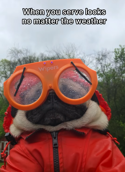 When you serve looks no matter the weather Wipers