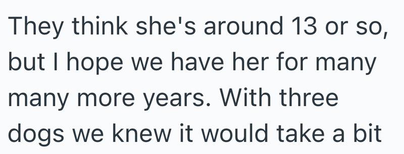 They think she's around 13 or so, but I hope we have her for many many more years. With three dogs we knew it would take a bit