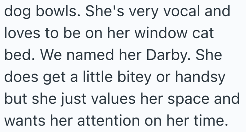 dog bowls. She's very vocal and loves to be on her window cat bed. We named her Darby. She does get a little bitey or handsy but she just values her space and wants her attention on her time.