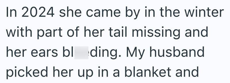 In 2024 she came by in the winter with part of her tail missing and her ears bloding. My husband picked her up in a blanket and