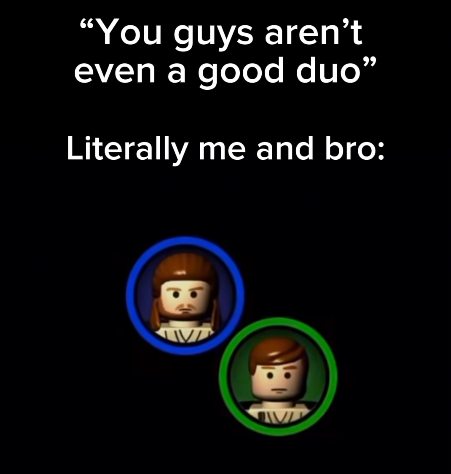 "You guys aren't even a good duo" Literally me and bro: