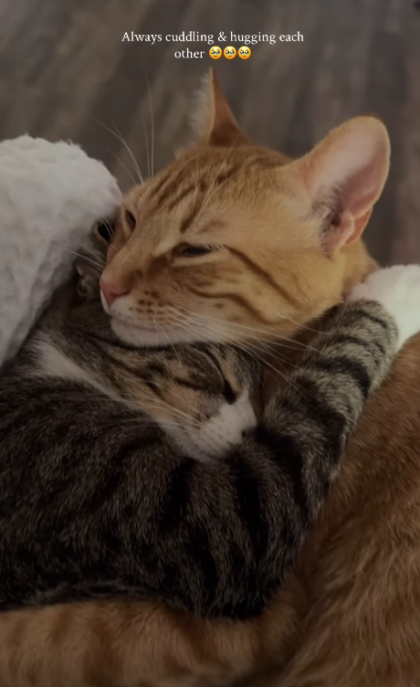Always cuddling & hugging each other