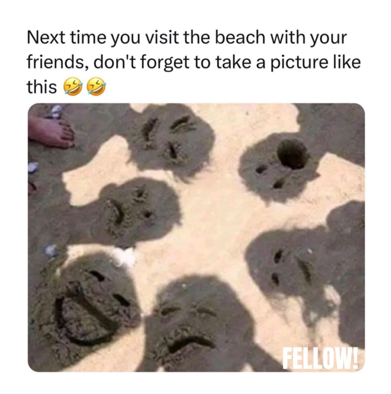 Next time you visit the beach with your friends, don't forget to take a picture like this FELLOW!