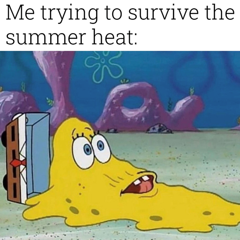 Me trying to survive the summer heat: