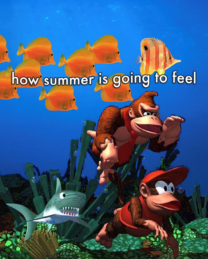 how summer is going to feel
