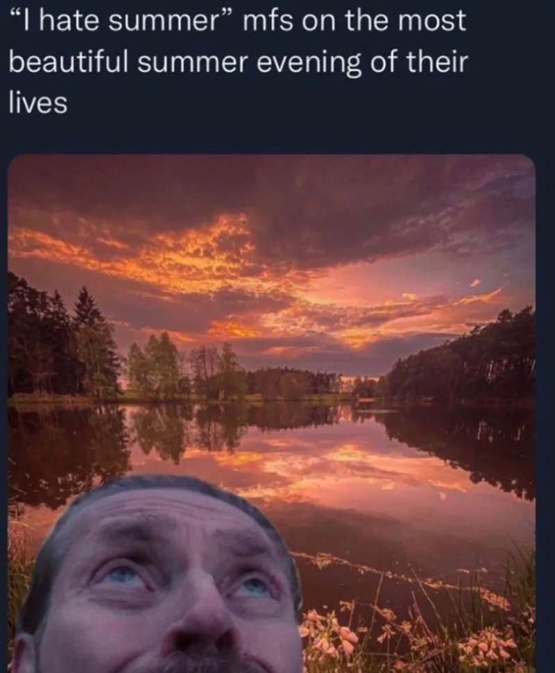 "I hate summer" mfs on the most beautiful summer evening of their lives