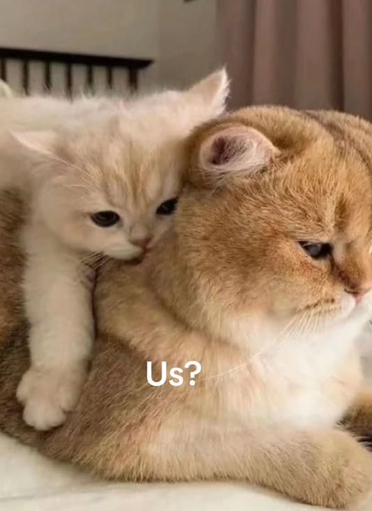 Us?