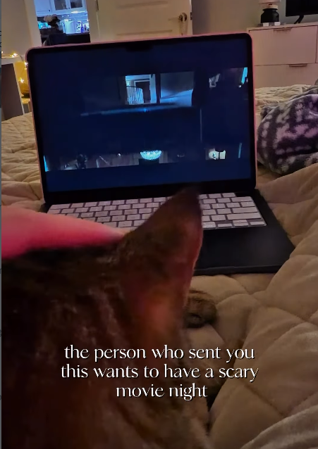 the person who sent you this wants to have a scary movie night