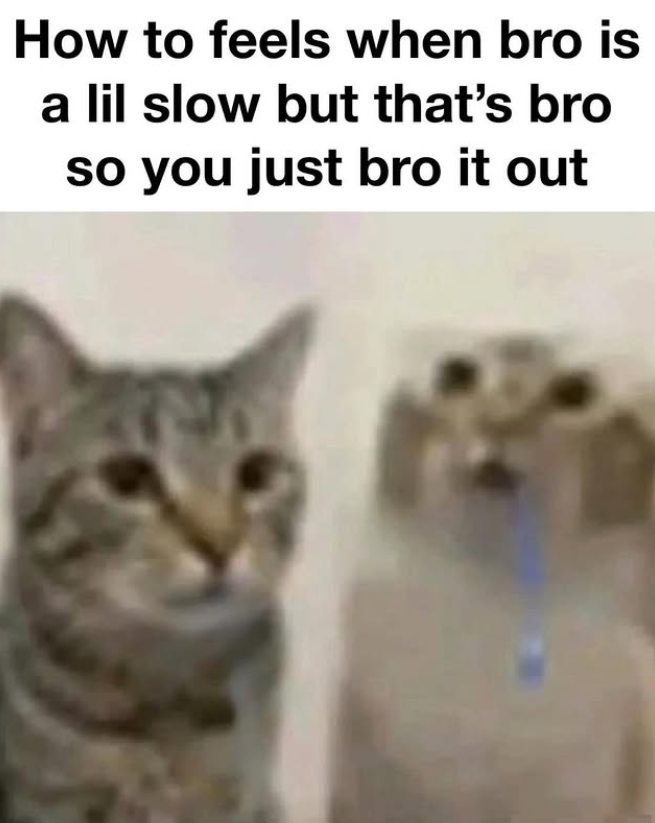 How to feels when bro is a lil slow but that's bro so you just bro it out