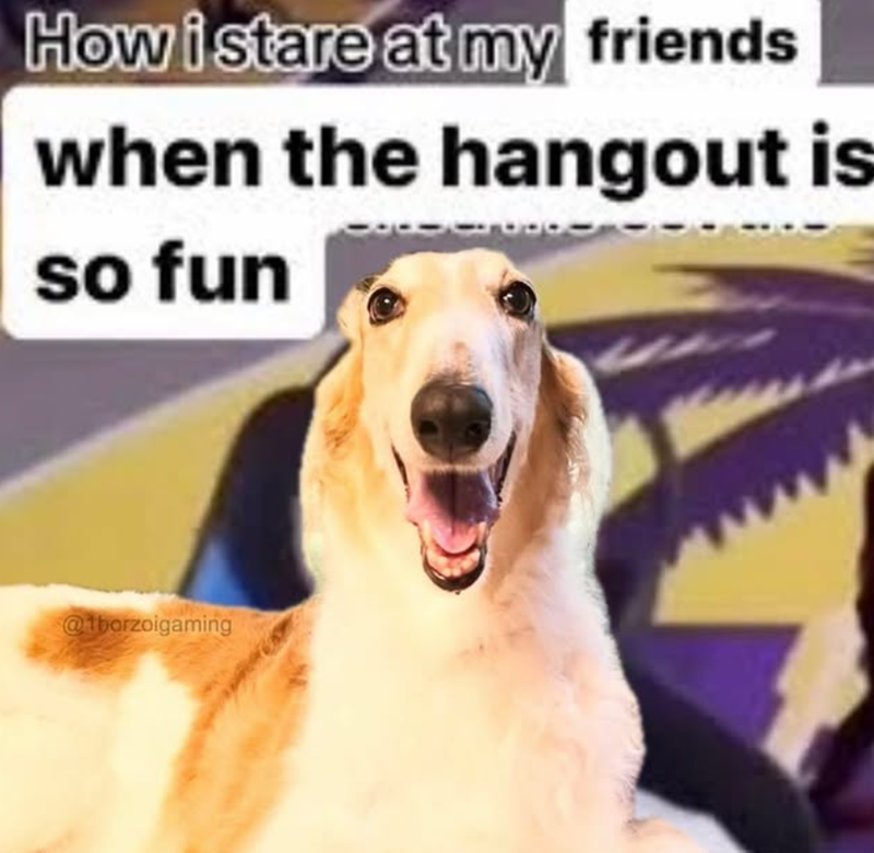 How i stare at my friends when the hangout is so fun @tborzoigaming