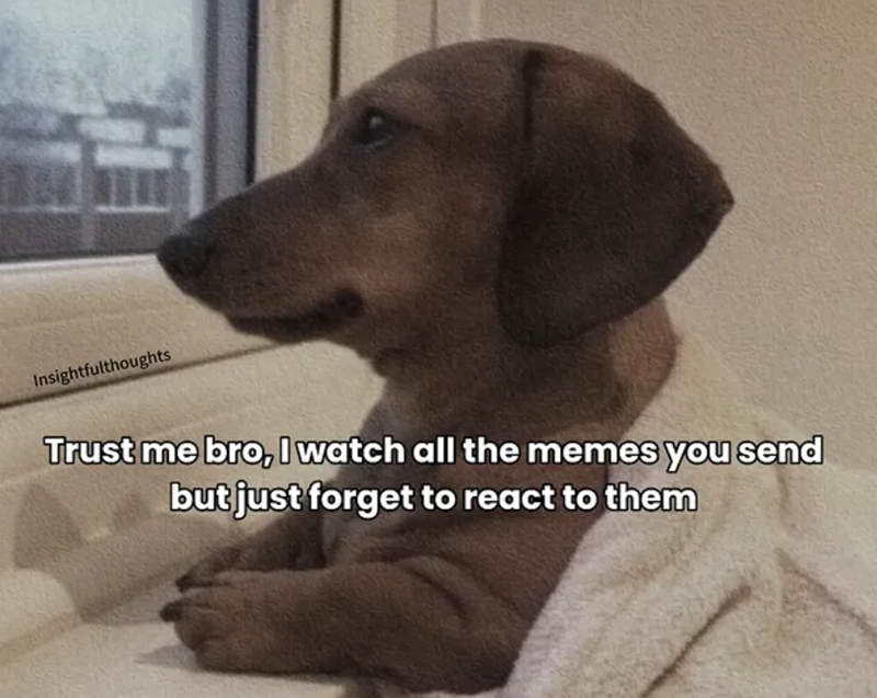 Insightfulthoughts Trust me bro, I watch all the memes you send but just forget to react to them