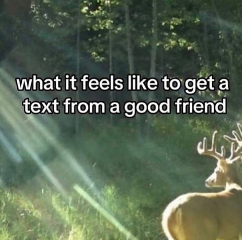 what it feels like to get a text from a good friend