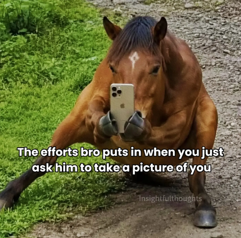The efforts bro puts in when you just ask him to take a picture of you Insightfulthoughts