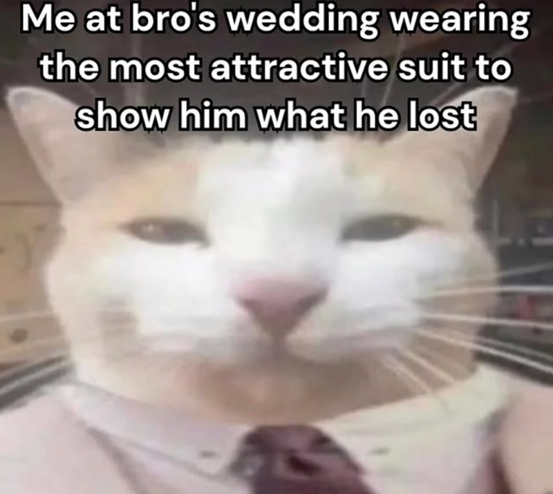 Me at bro's wedding wearing the most attractive suit to show him what he lost