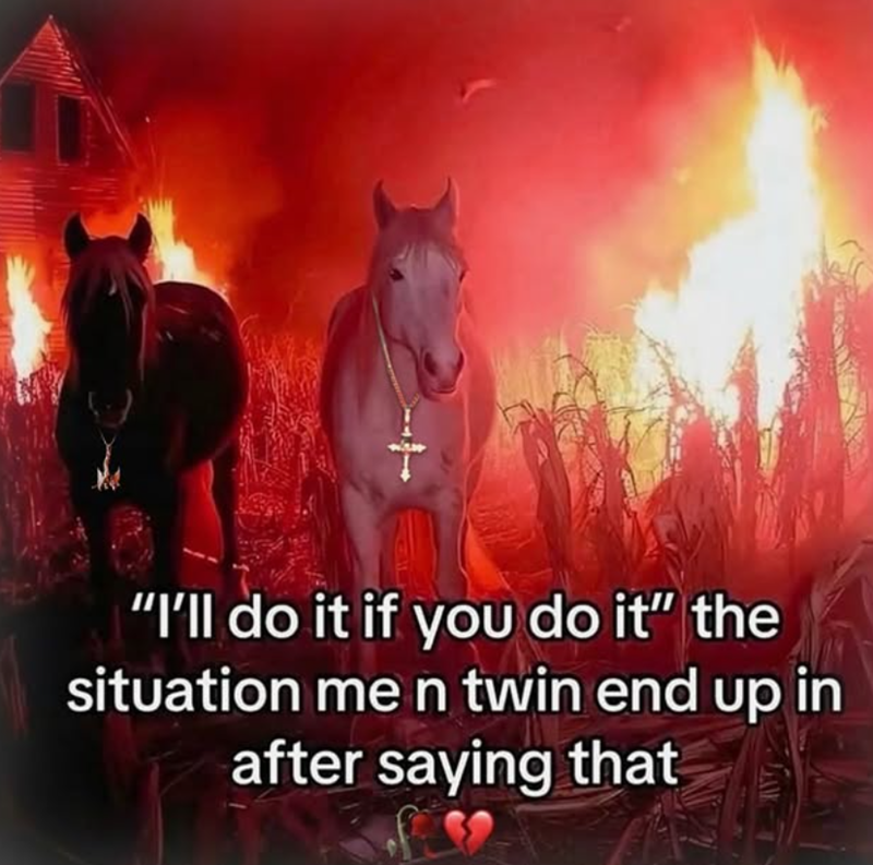 "I'll do it if you do it" the situation me n twin end up in after saying that