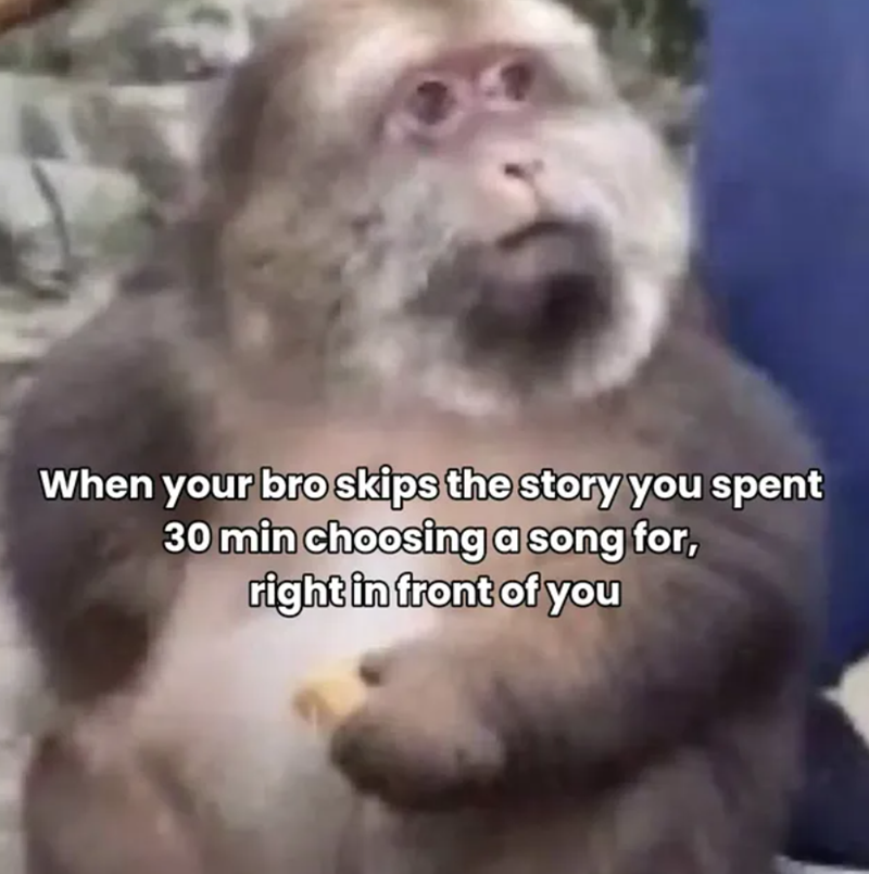 When your bro skips the story you spent 30 min choosing a song for, right in front of you