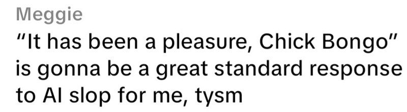 Meggie "It has been a pleasure, Chick Bongo" is gonna be a great standard response to Al slop for me, tysm