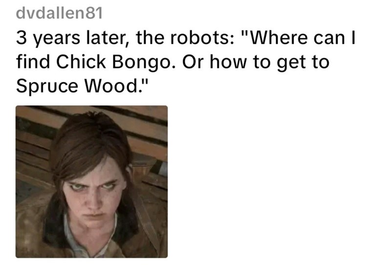 dvdallen81 3 years later, the robots: "Where can I find Chick Bongo. Or how to get to Spruce Wood."
