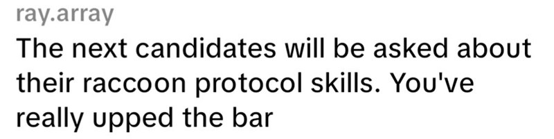 ray.array The next candidates will be asked about their raccoon protocol skills. You've really upped the bar