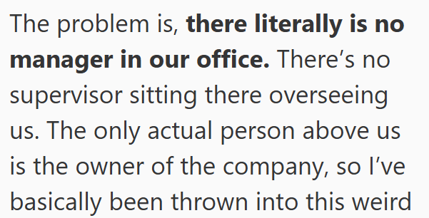 The problem is, there literally is no manager in our office. There's no supervisor sitting there overseeing us. The only actual person above us is the owner of the company, so I've basically been thrown into this weird