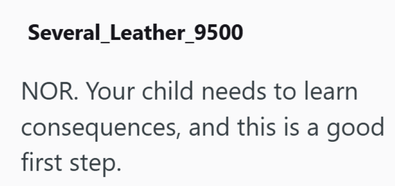 Several_Leather_9500 NOR. Your child needs to learn consequences, and this is a good first step.