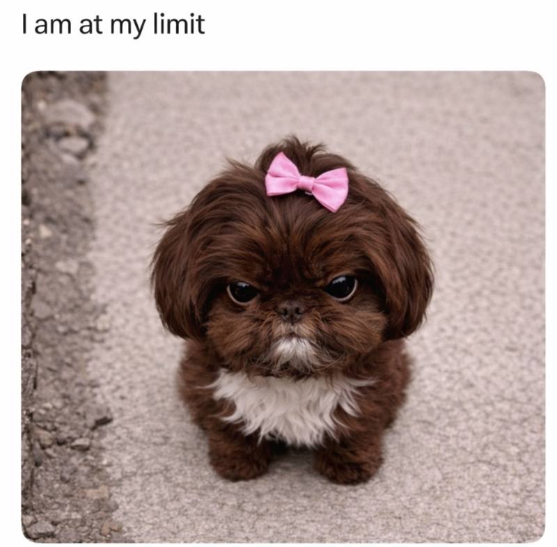 I am at my limit