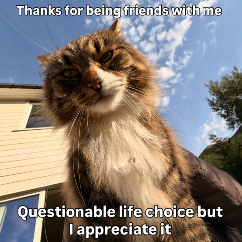Thanks for being friends with me Questionable life choice but I appreciate it