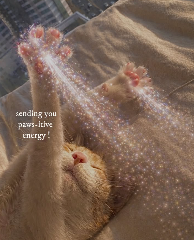 sending you paws-itive energy!
