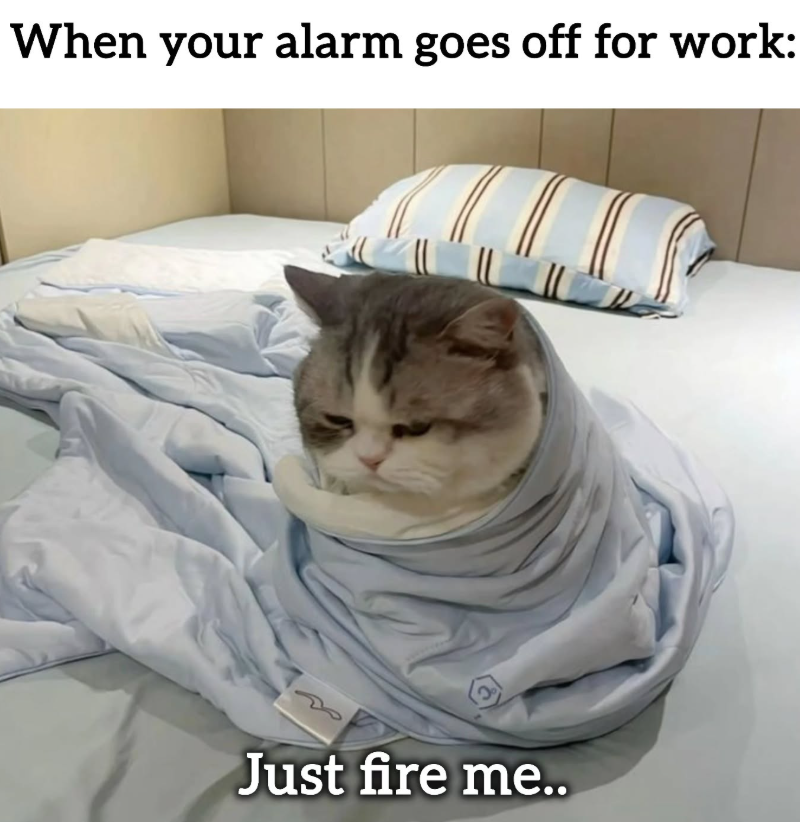 When your alarm goes off for work: Just fire me..